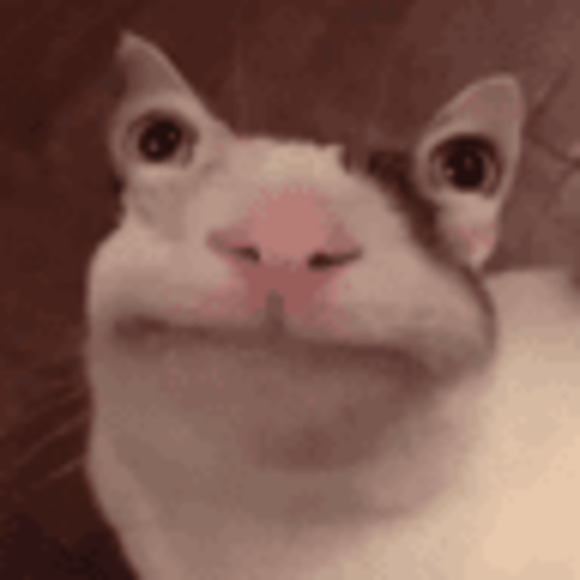 Meet your Posher, Thomas - Picture 1 of 1